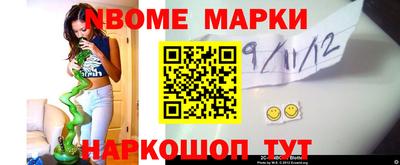 индика Кандалакша